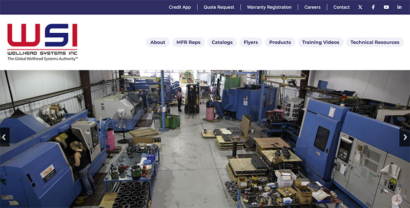 Wellhead Systems Inc